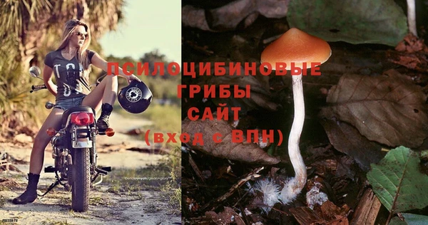 MDMA Premium VHQ Нефтекумск