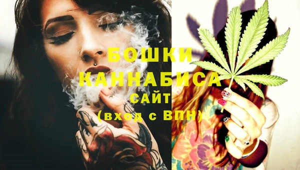стафф Нефтегорск